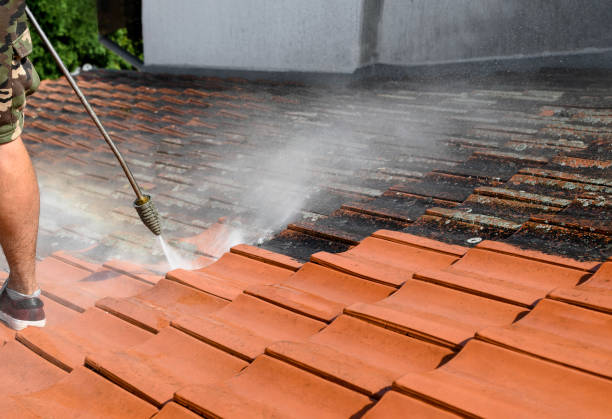 Best Fence Pressure Washing  in Willard, UT