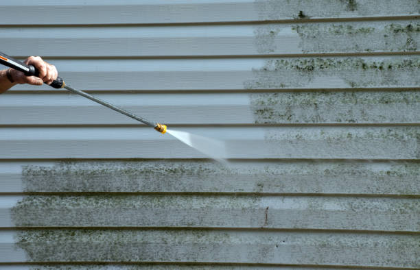 Deck Cleaning Services in Willard, UT