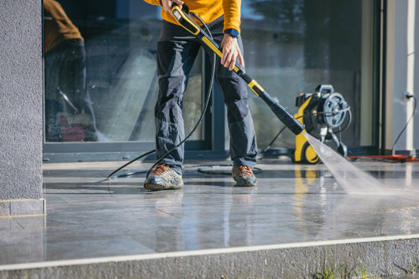Best Roof Pressure Washing  in Willard, UT