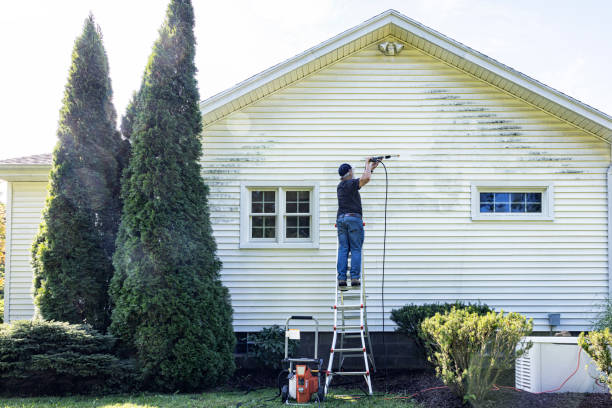 Deck Cleaning Services in Willard, UT